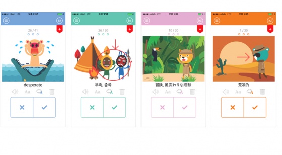 포커스에듀 이미지