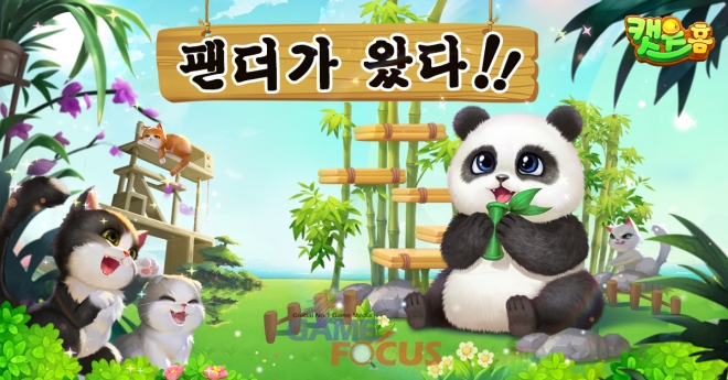 테마룸 이미지