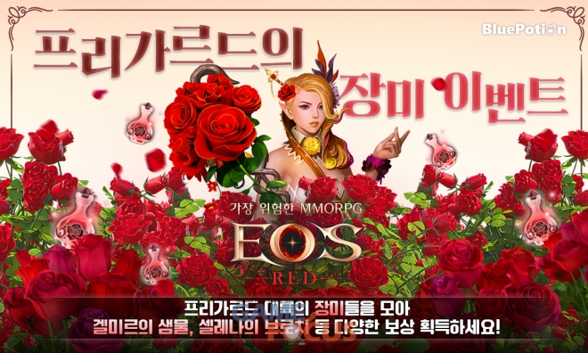 블루키위 이미지