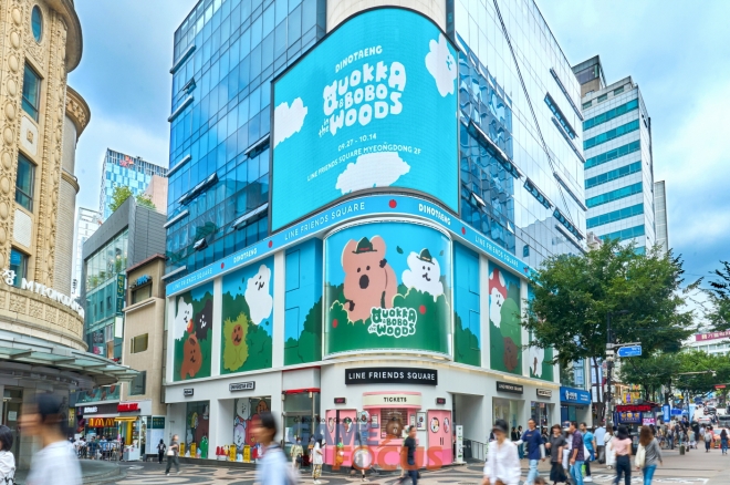 보보앤 이미지