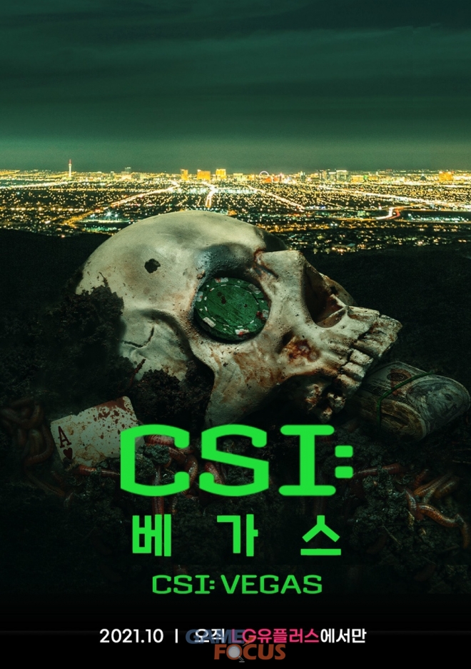 CSI Global 이미지
